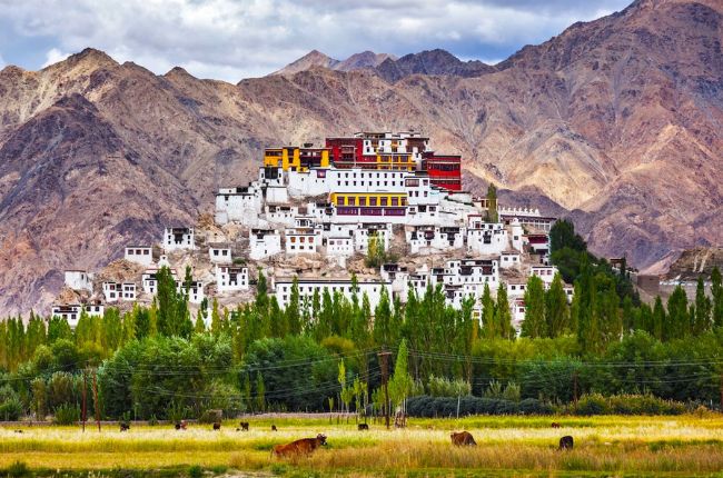 ladakh-3