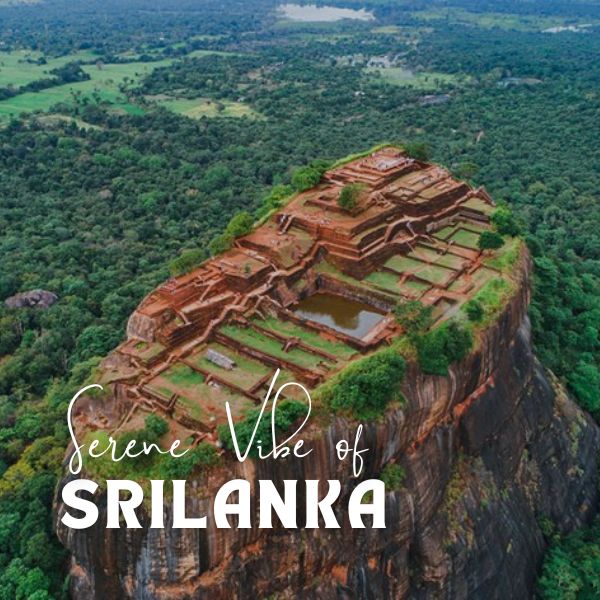 evara-srilanka